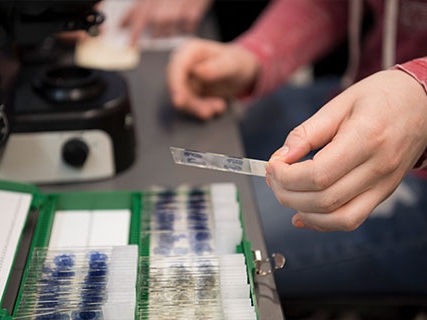 People conducting hands-on research in the Neuroscience Research Facility