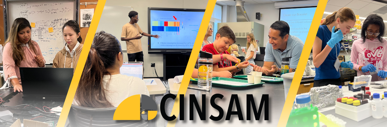 A collage of pictures of the people CINSAM serves: NKU Students, NKU Faculty, P-12 Teachers, P-12 Students