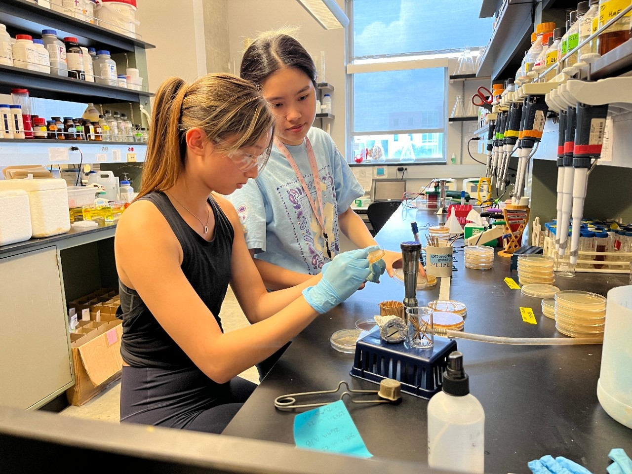 NKU Chemistry and Biochemistry students conducting summer research in the lab