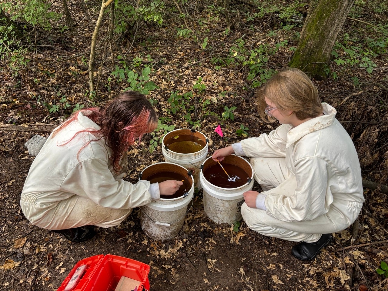 NKU Biological Sciences students conduct research outside in the woodlands of NKU's Research and Education Field Station