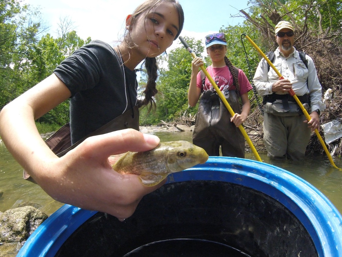 Middle school aged kids exploring nature in a stream with NKU faculty