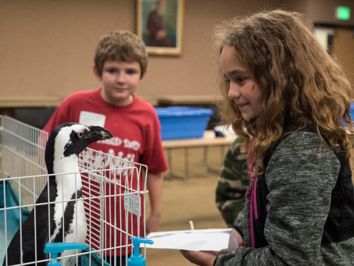 Elementary students having an exciting close encounter with a penguin at Elementary STEM Day