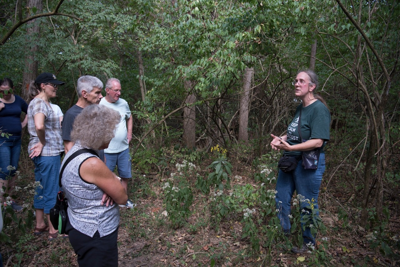 Dr. Whitson explains plants on a wetlands hike.