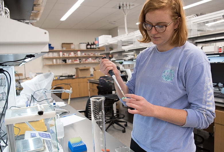 Student working in a labratory 