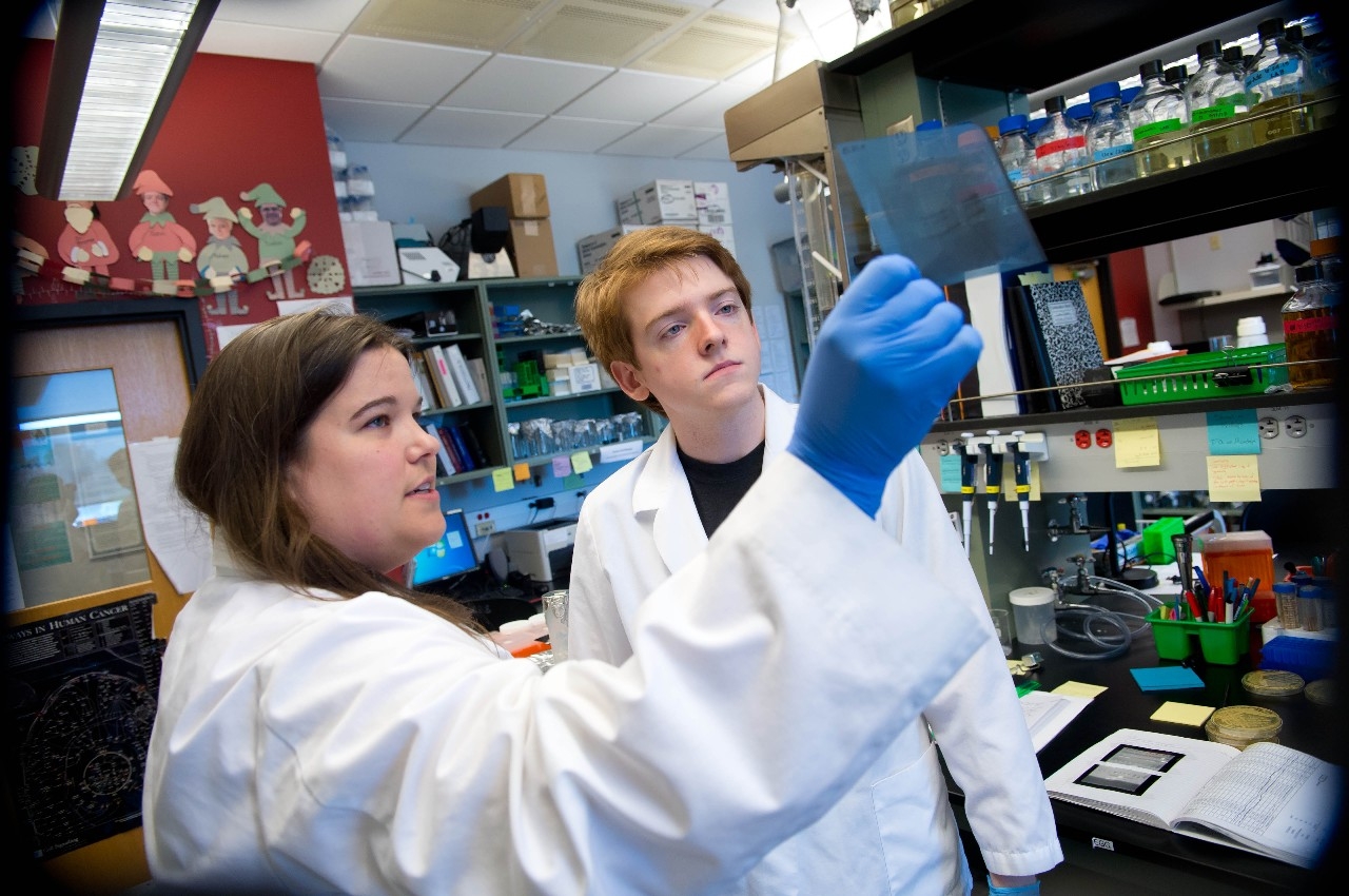 Two students working in lab