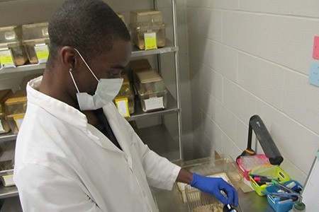 Student wearing lab coat and medical mask working at station