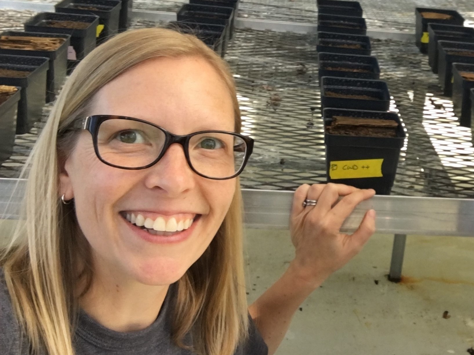 Photo of Dr. Hopfensperger outside, kneeling in front of a metal table holding several small seedling trays.