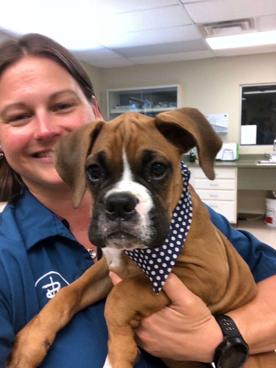 Jen Quammen smiles while holding a dog at her veterinary hospital.