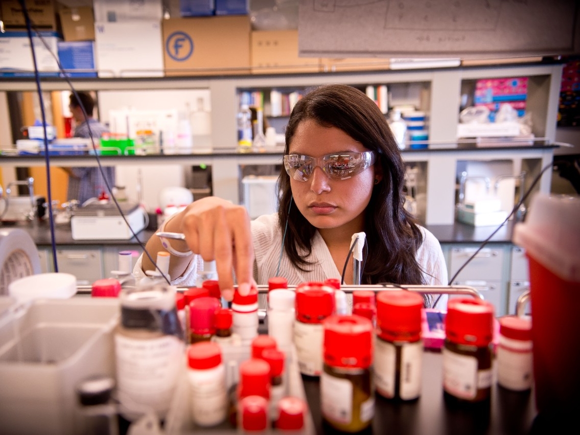 Lab student looking at table filled with samples