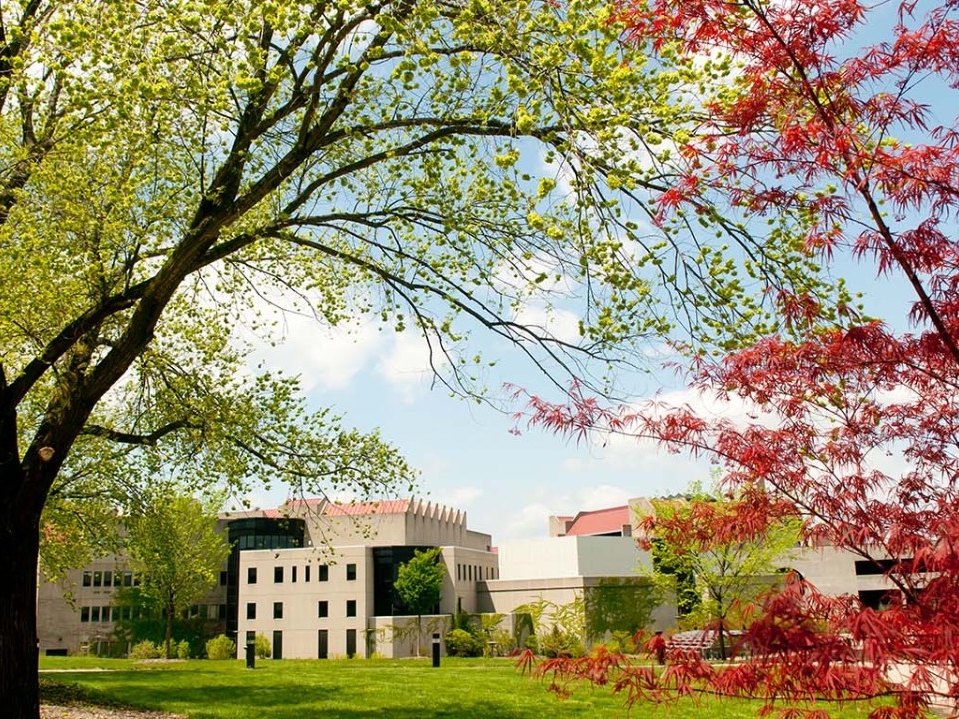 Sunny day on NKU's campus.