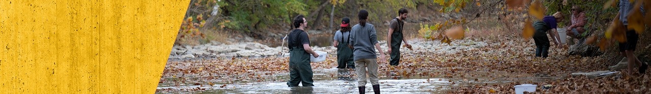 Students working outdoors