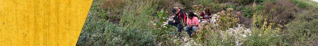 Students conducting research in the outdoors.