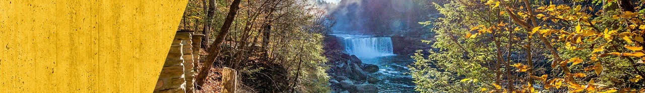 Waterfall in a forest