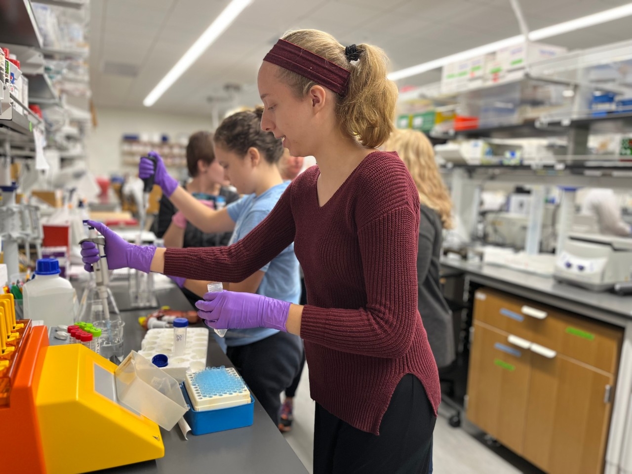 NKU Neuroscience students conducting research in the lab.