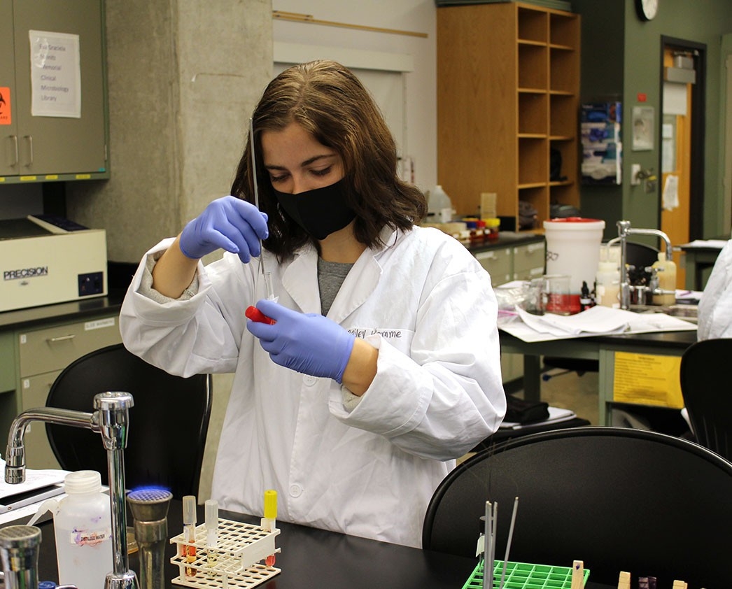 students examining test tube